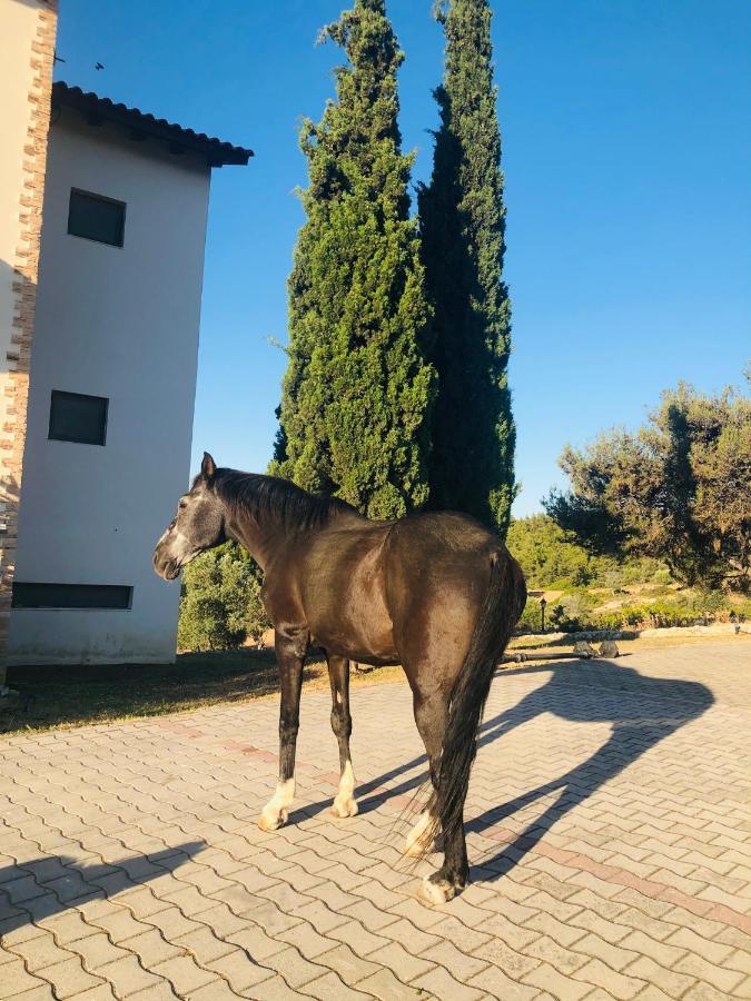 קאליתיאס Elena'S Country Home & Spa מראה חיצוני תמונה