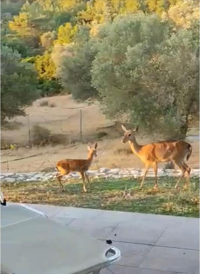 קאליתיאס Elena'S Country Home & Spa מראה חיצוני תמונה
