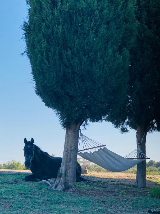 קאליתיאס Elena'S Country Home & Spa מראה חיצוני תמונה