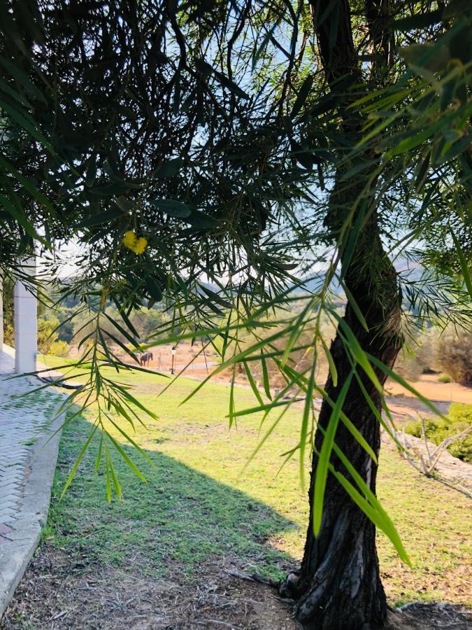 קאליתיאס Elena'S Country Home & Spa מראה חיצוני תמונה