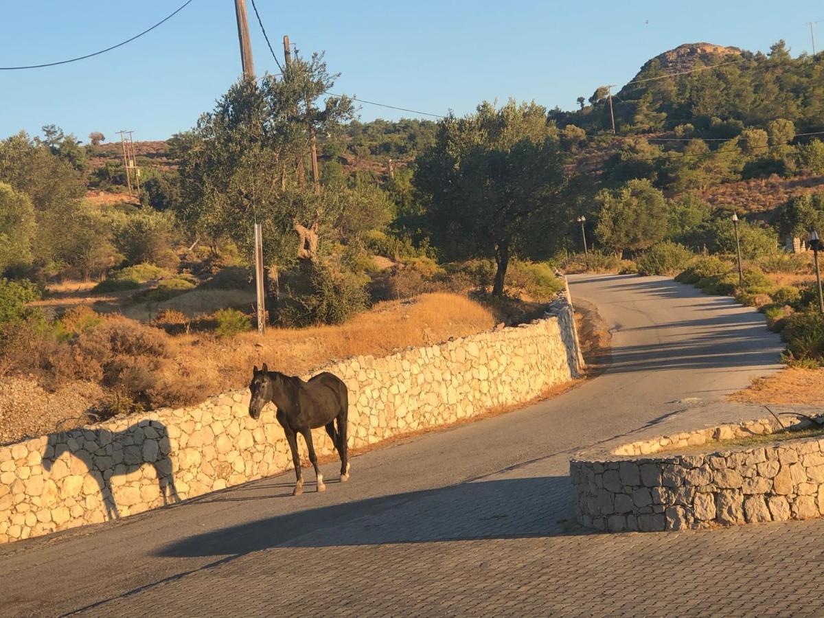 קאליתיאס Elena'S Country Home & Spa מראה חיצוני תמונה
